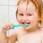 歯みがきの習慣づけ方法　ベスト10