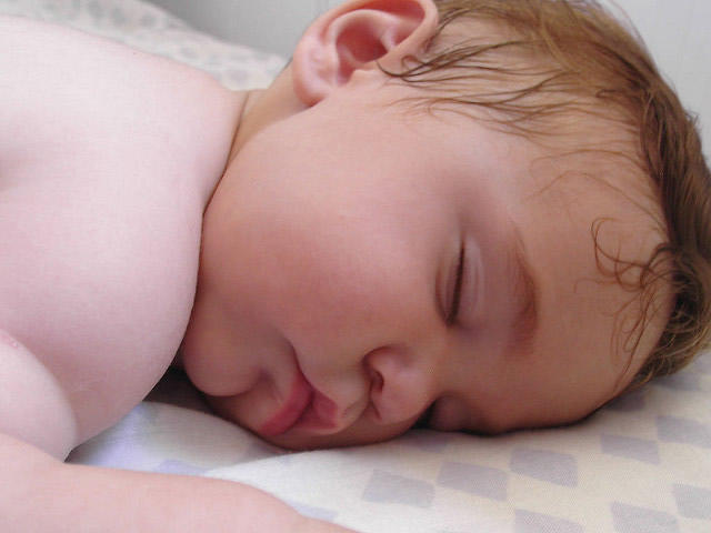 動画 寝てる赤ちゃんに をかけてあげる 犬のお姉さん まんまみーあ